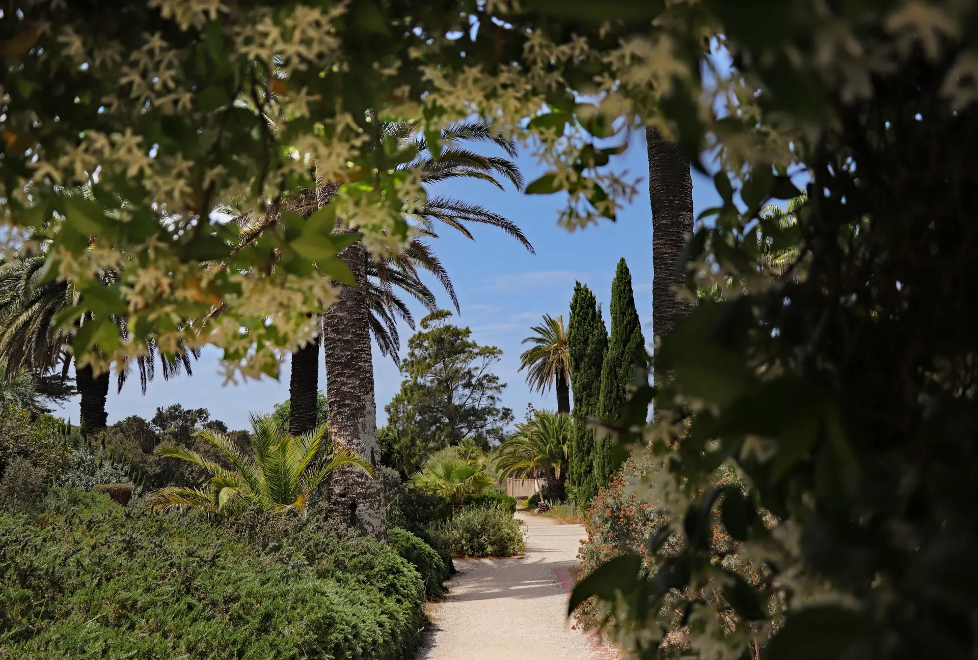 Jardin Emmanuel Lopez