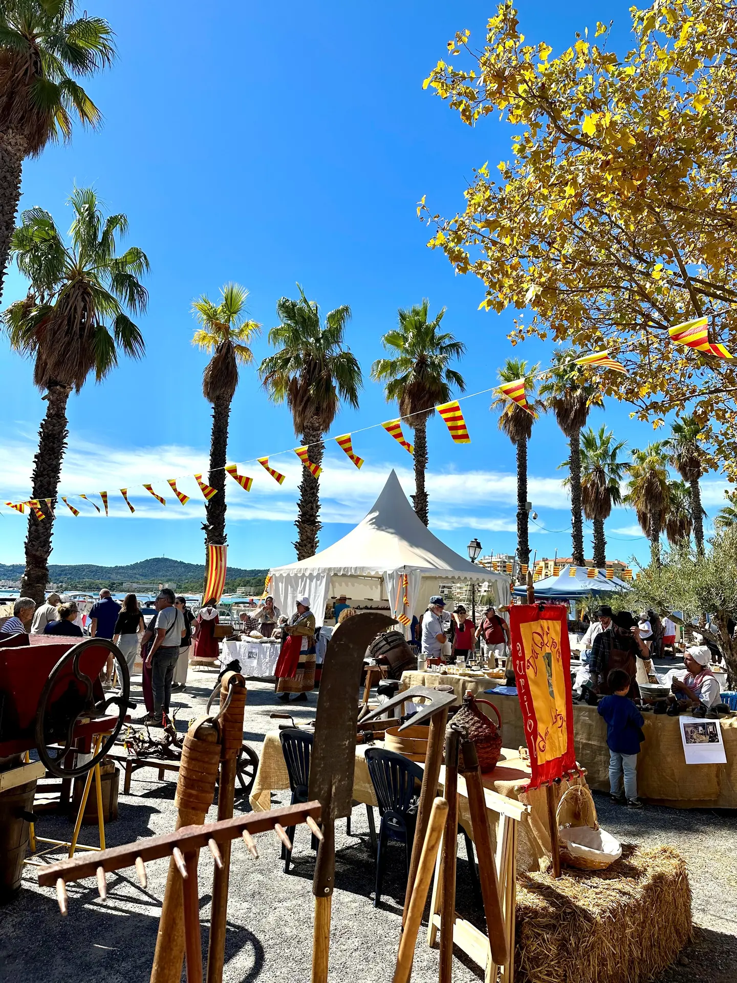 Couleur Provence - Le Lavandou