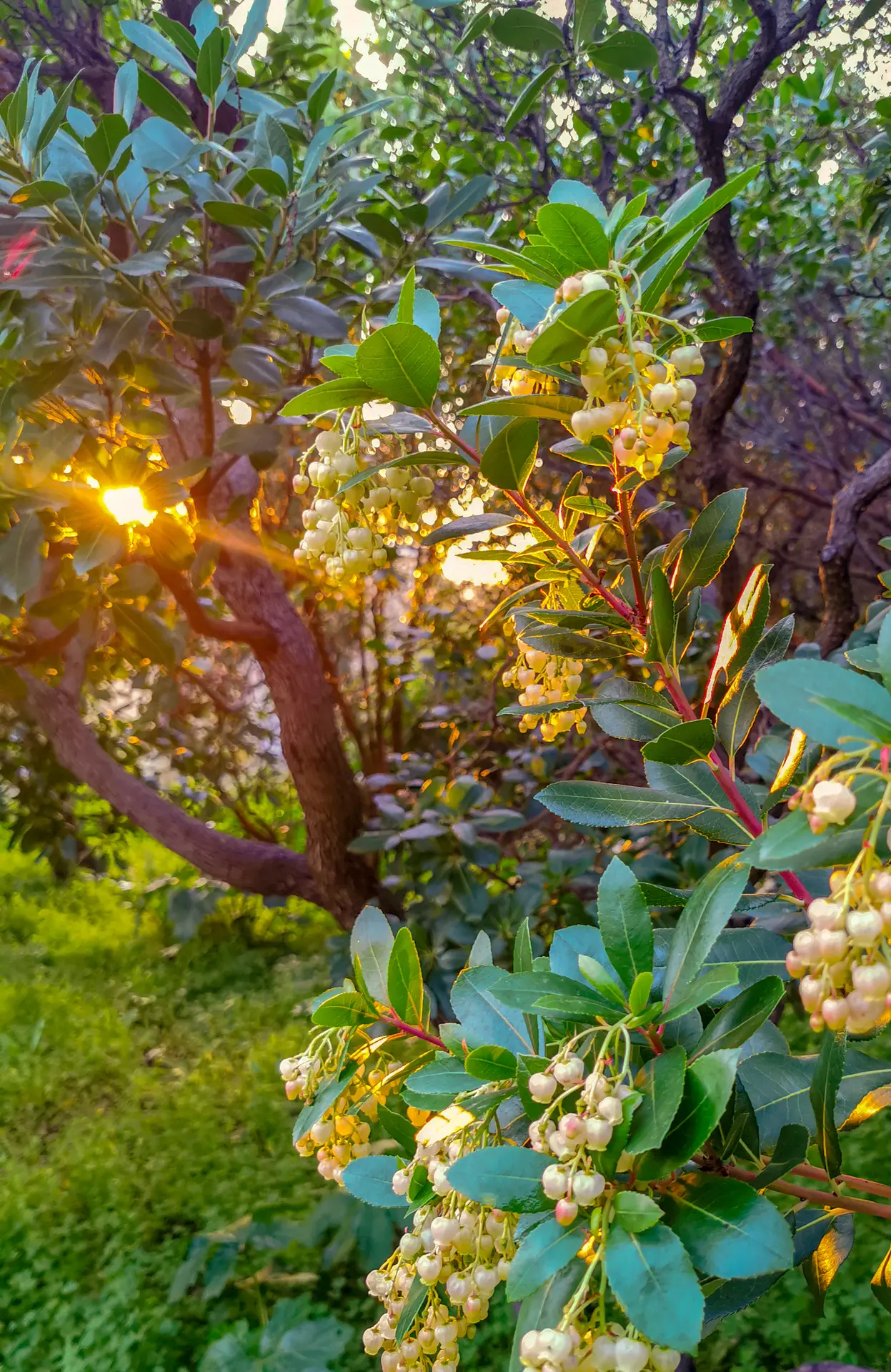 Journées Portes Ouvertes
