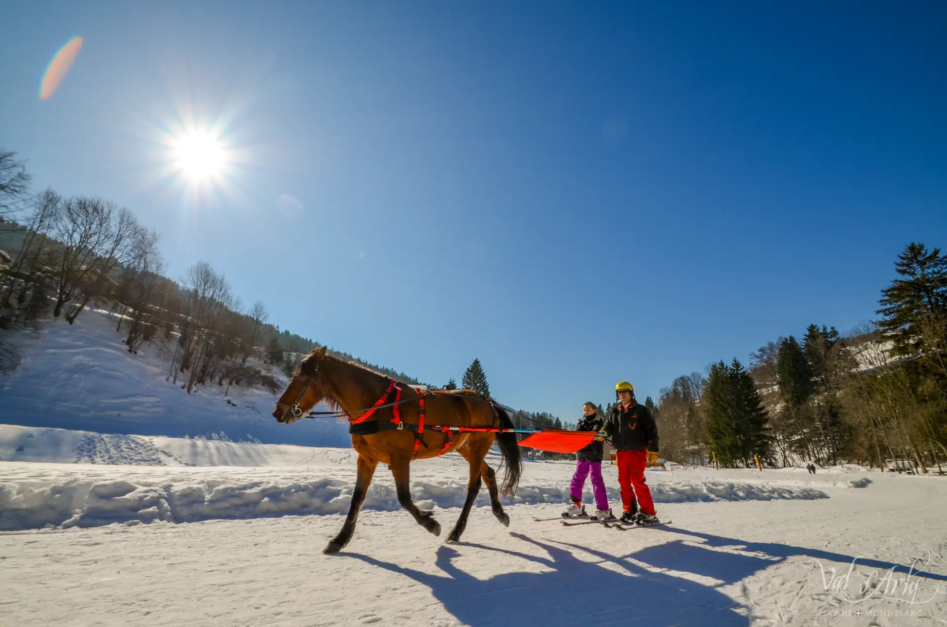 Ski Joering à Flumet
