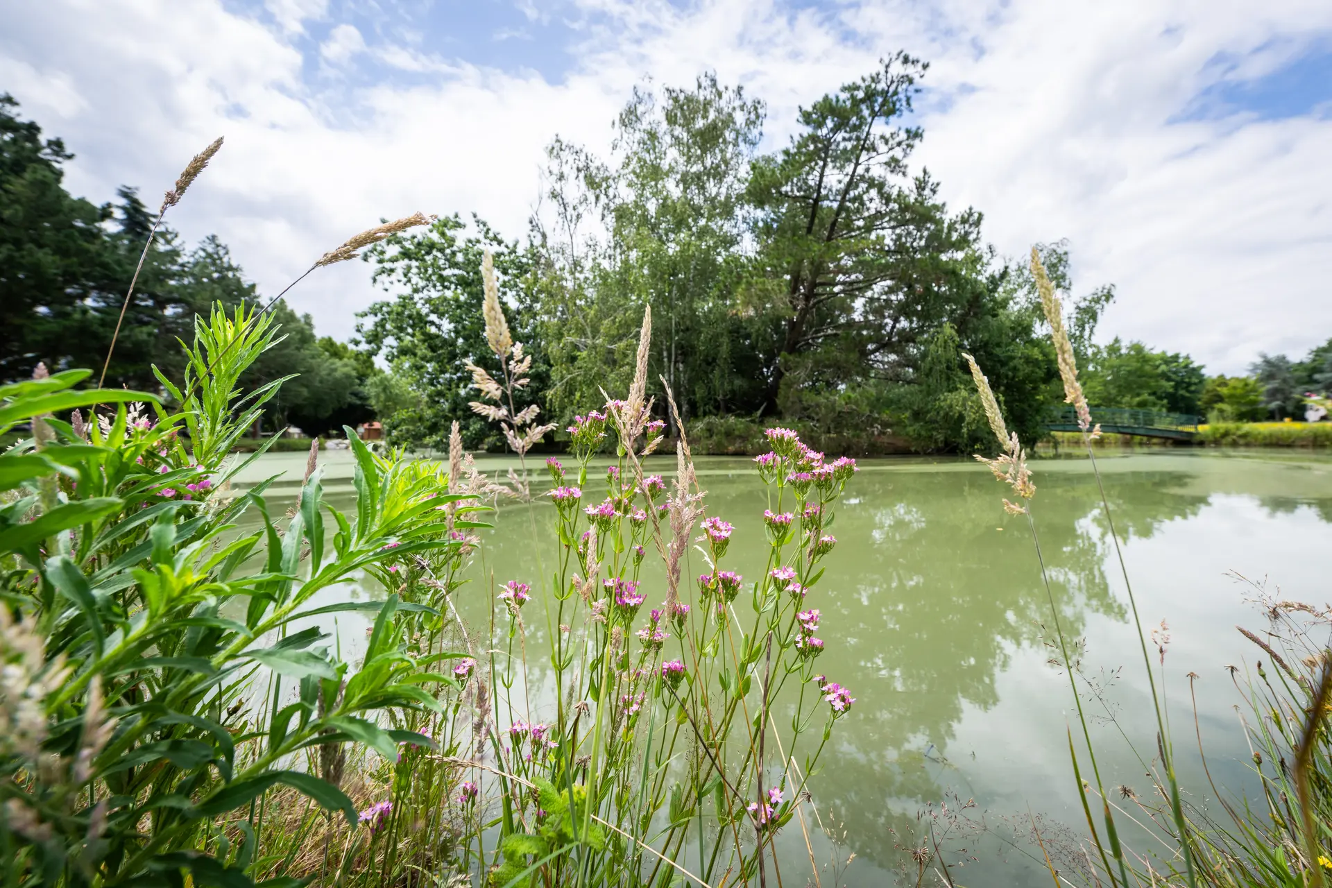 Visite | Le Parc de Clairefont, Castelsarrasin