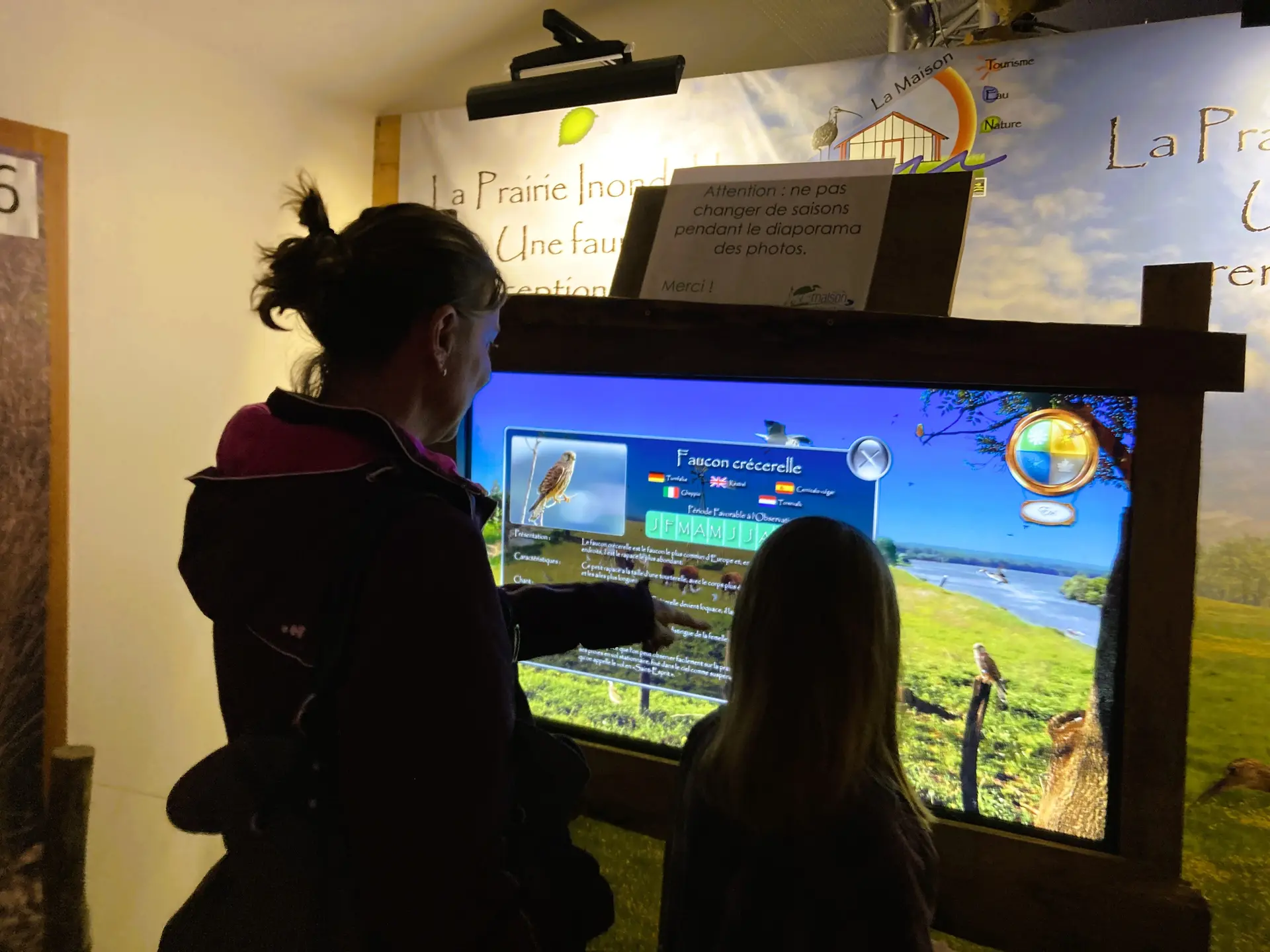 découverte interactive des oiseaux