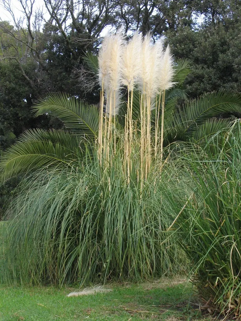 Les conférences environnement en Méditerranée porte des Maures