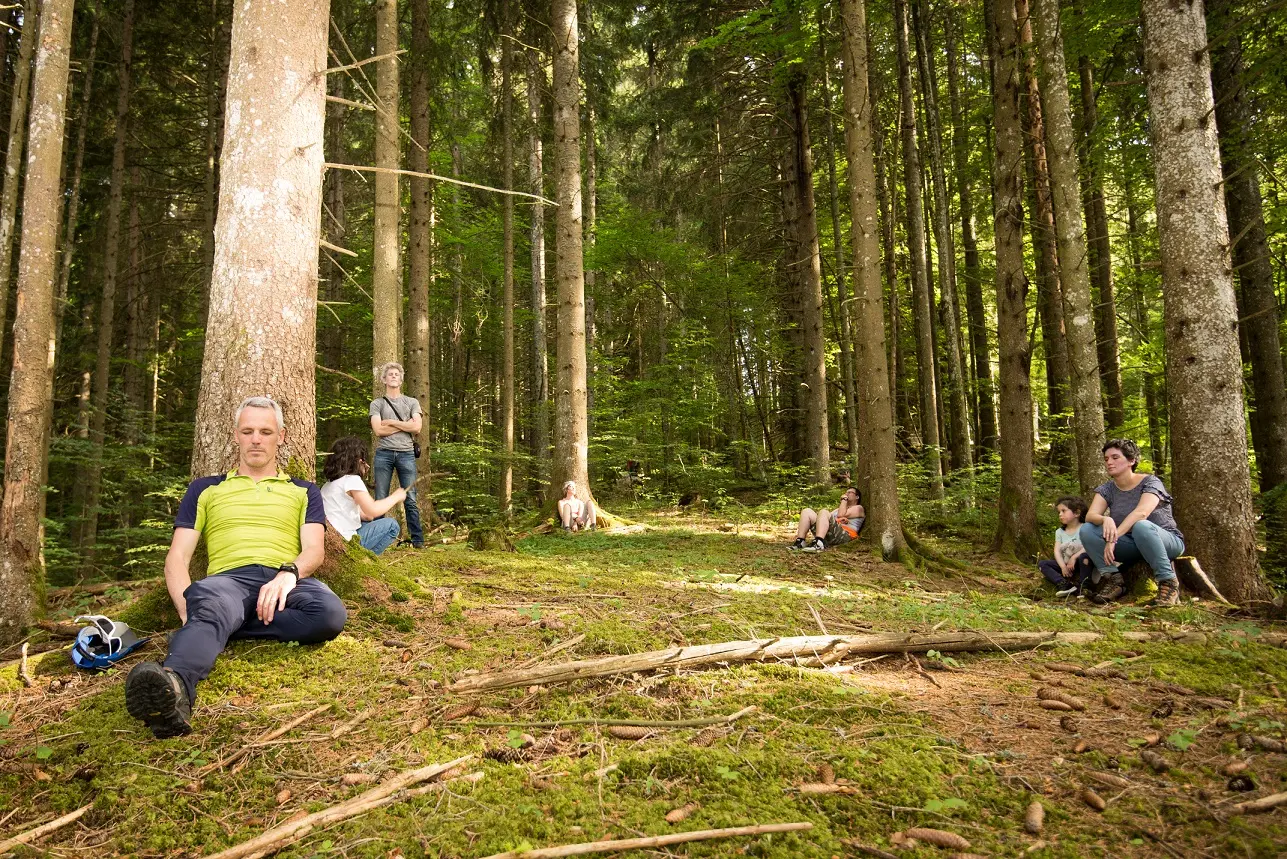 Pause méditative en forêt