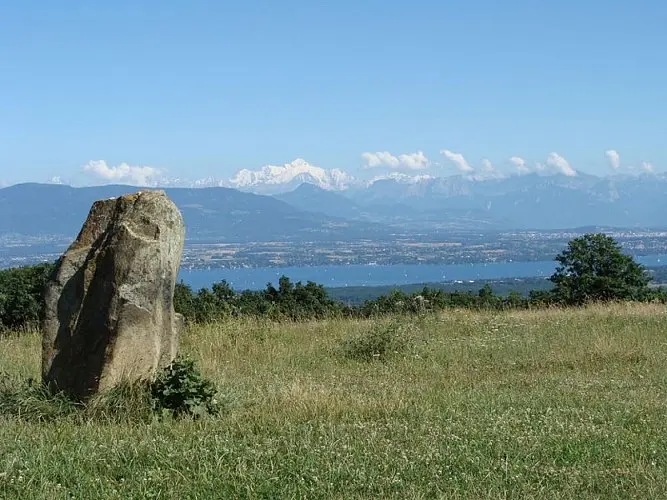 De Mussy à Mourex : à la découverte de l'histoire de la plus belle des collines !_Divonne-les-Bains
