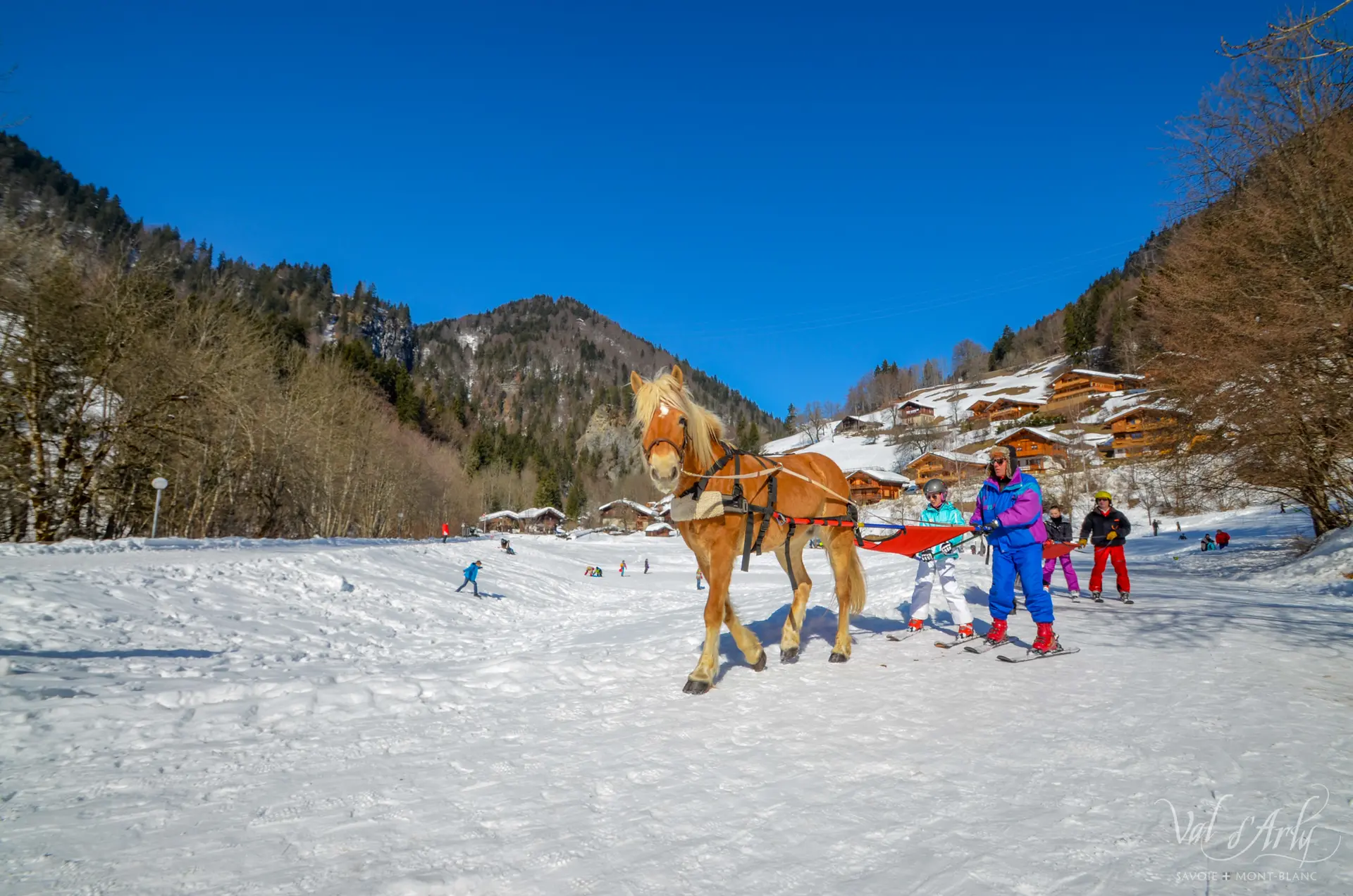 Ski Joering à Flumet