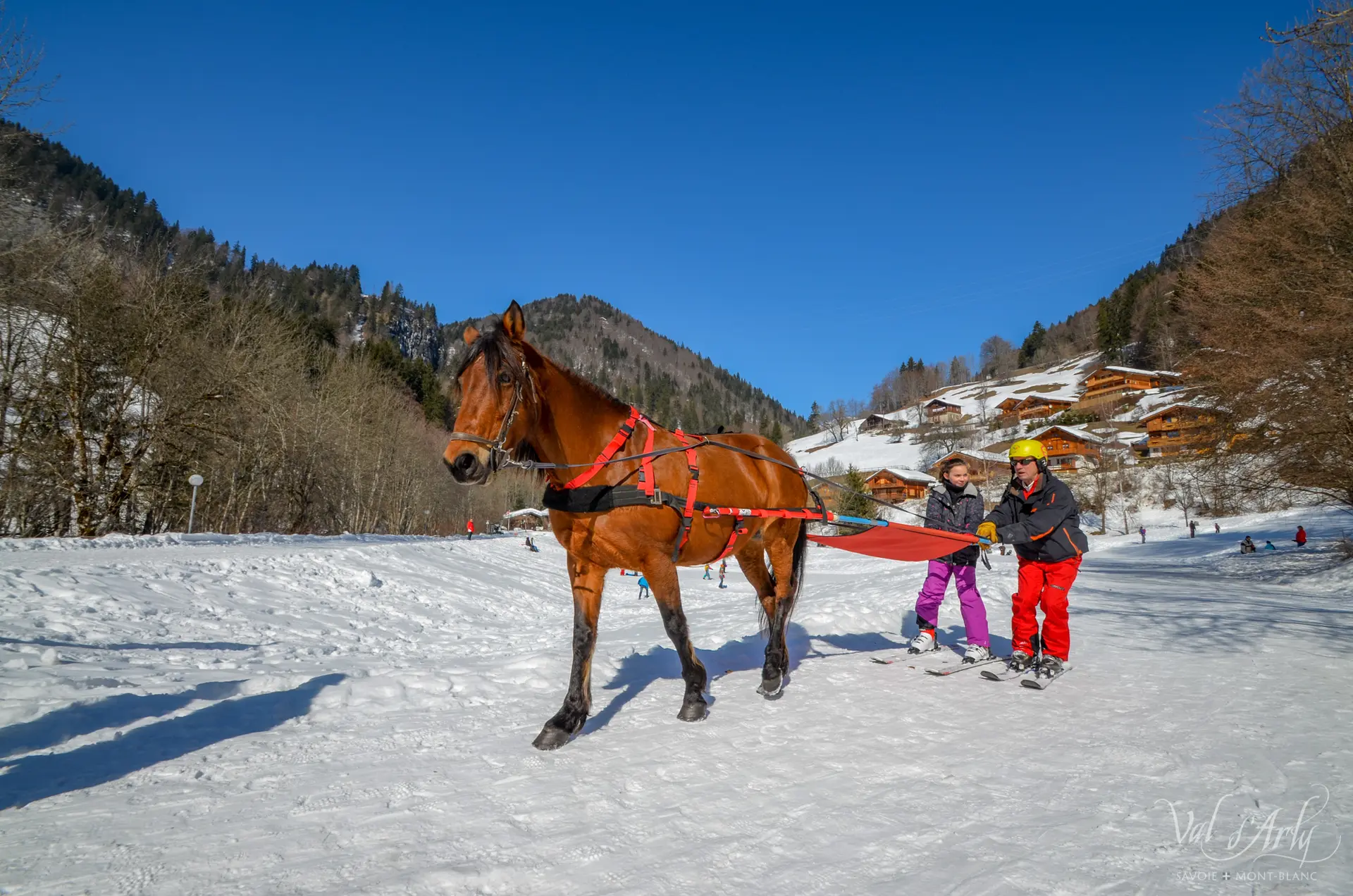 Ski Joering à Flumet