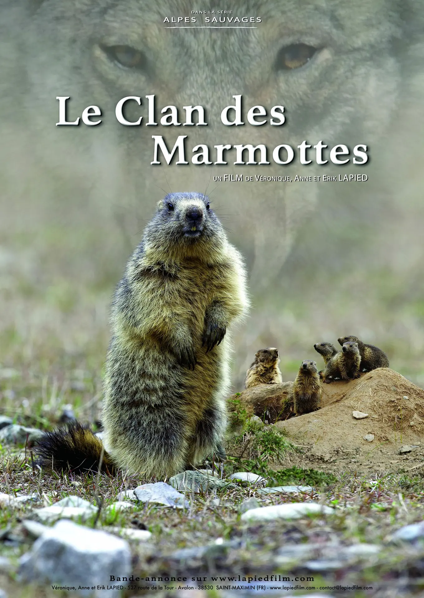 affiche du film