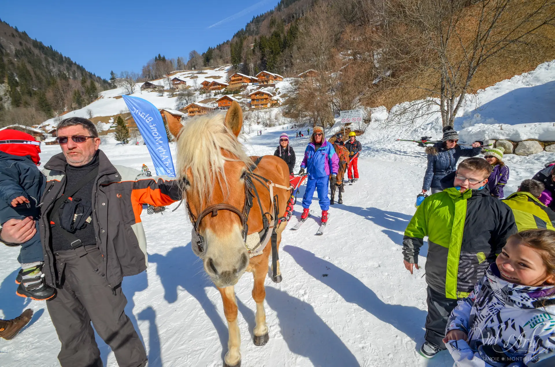 Ski Joering à Flumet