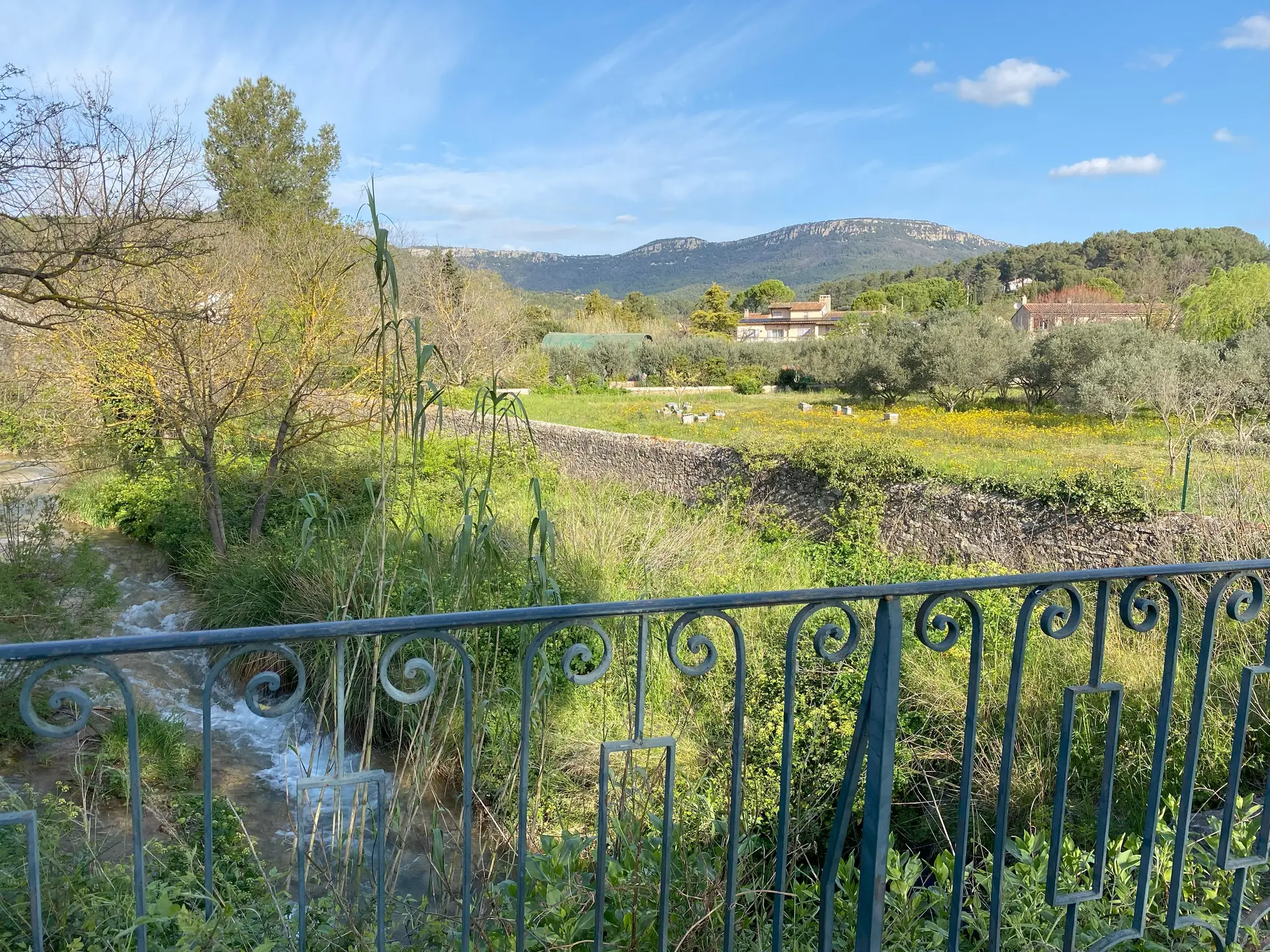 paysage agricole de Cuers