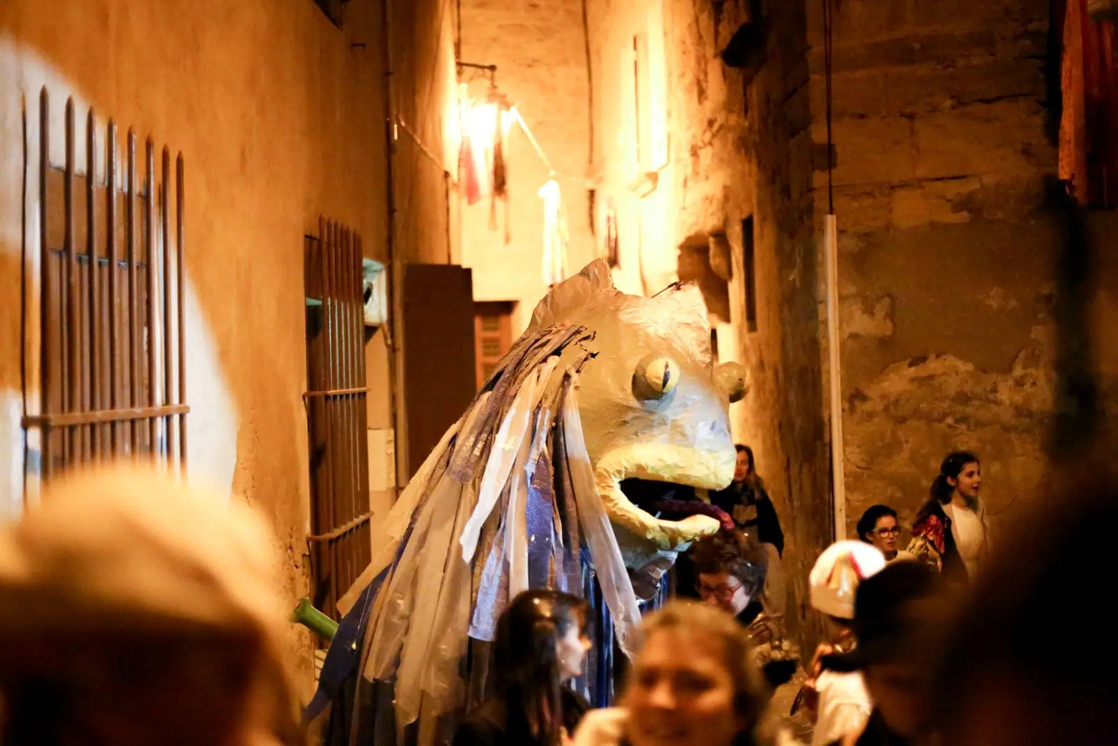 Le Caranaval a lieu dans les ruelles du village à la nuit tombée