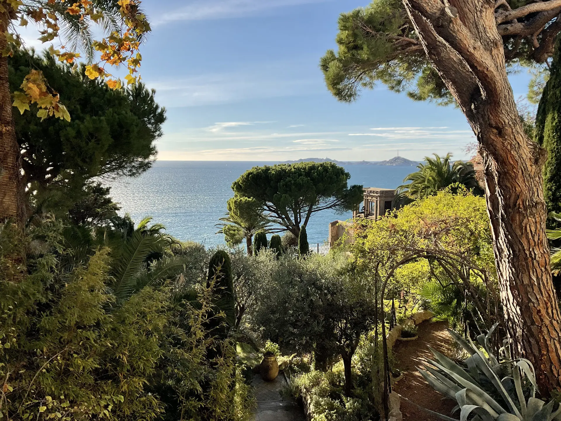 vue sur le jardin grands pins