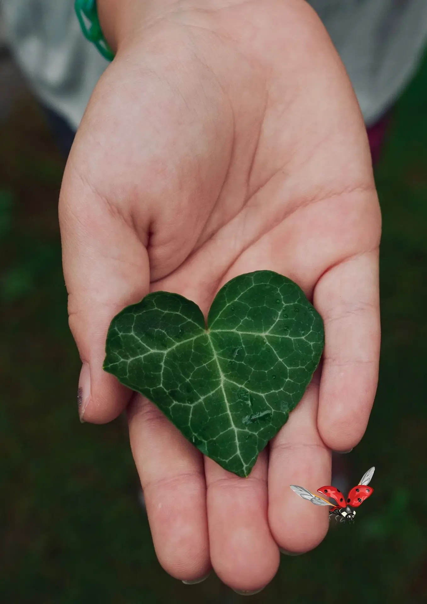 Sentir et toucher le vivant - Renc'arts BdL