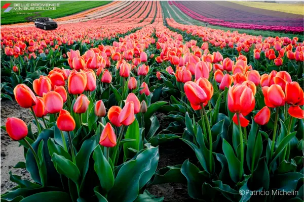 Stage Photo en mini-groupe en  Provence