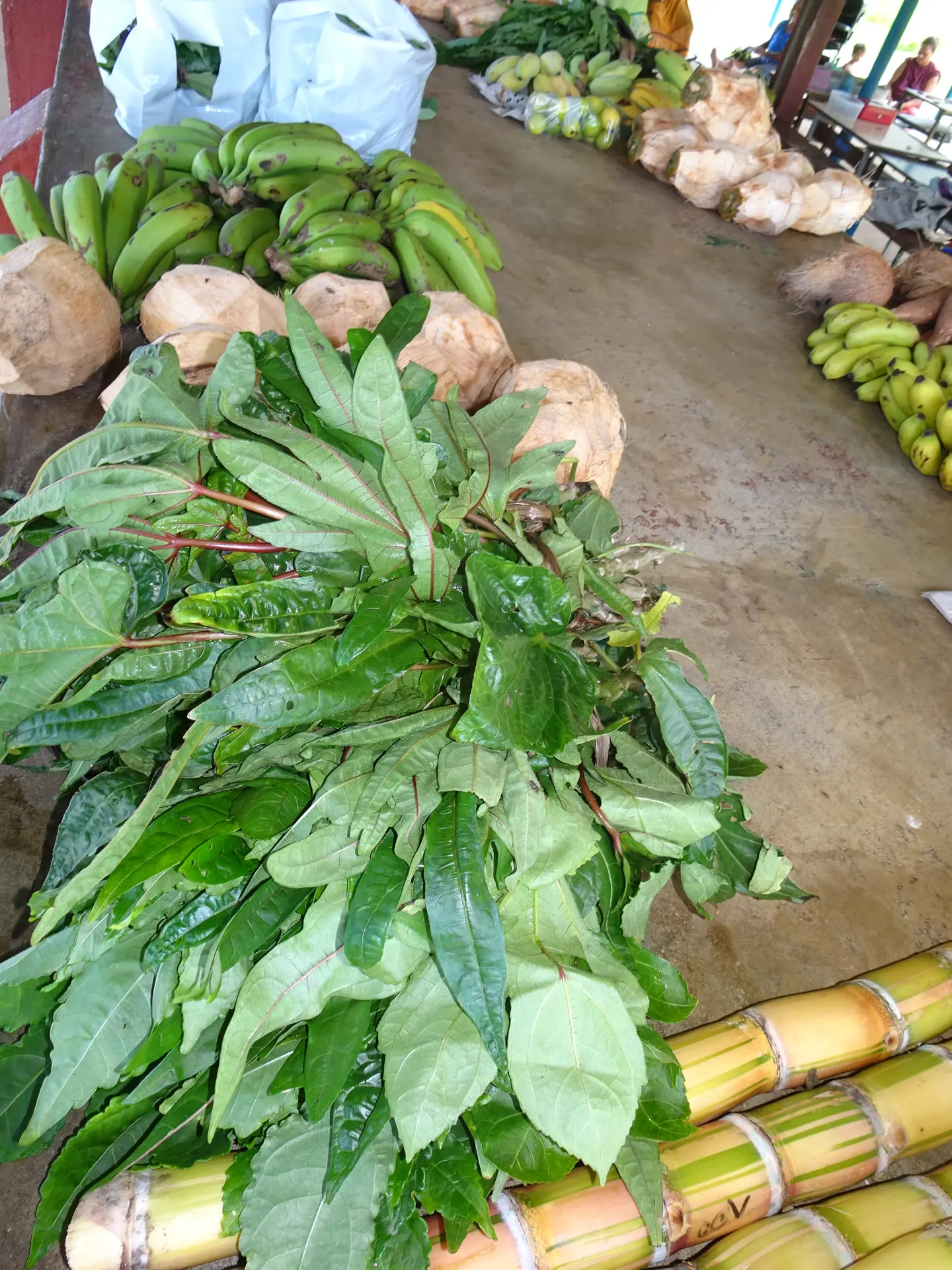 Marché Thio mission