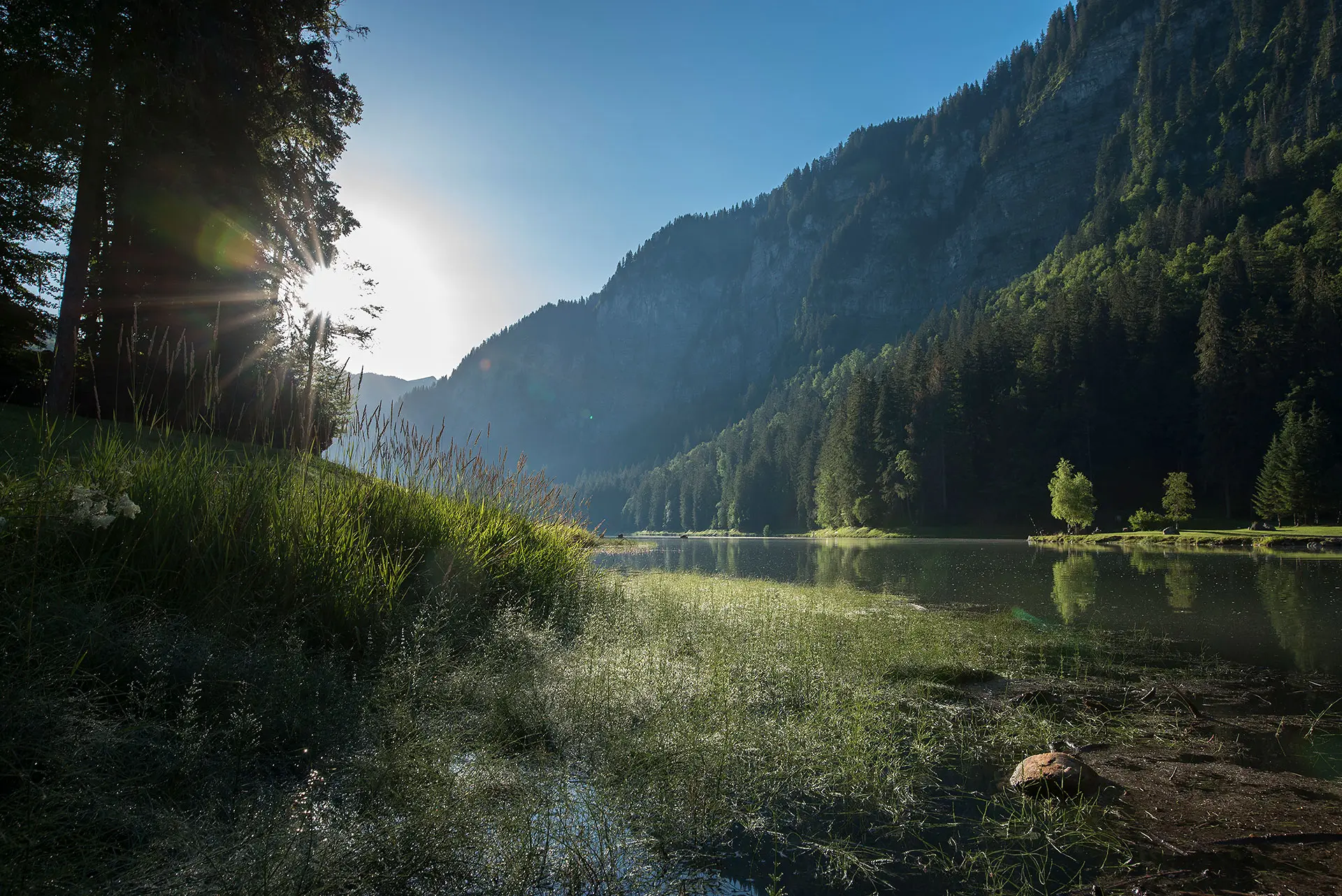Lac de Montriond