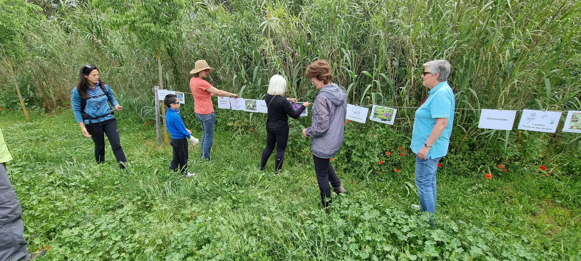 Balade nature avec Emmanuelle Chevalier