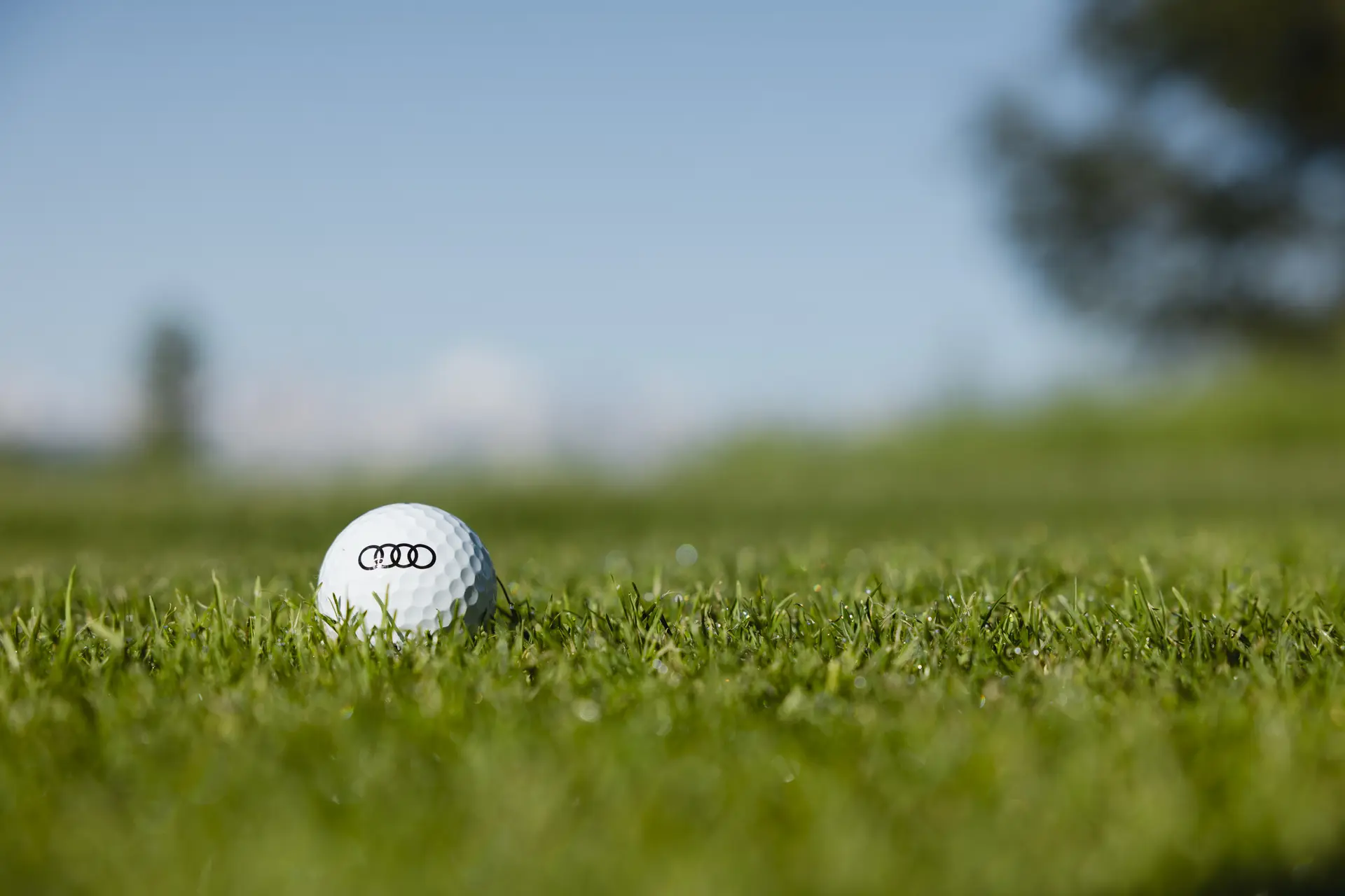 Audi Quattro Cup Verbier_Val de Bagnes