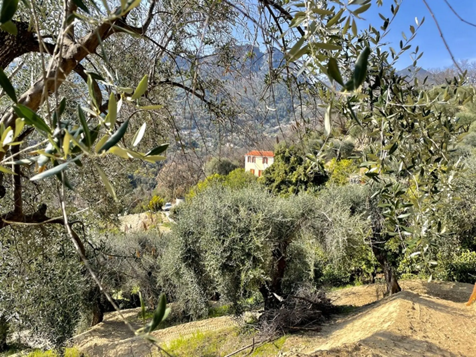 Vue du domaine
