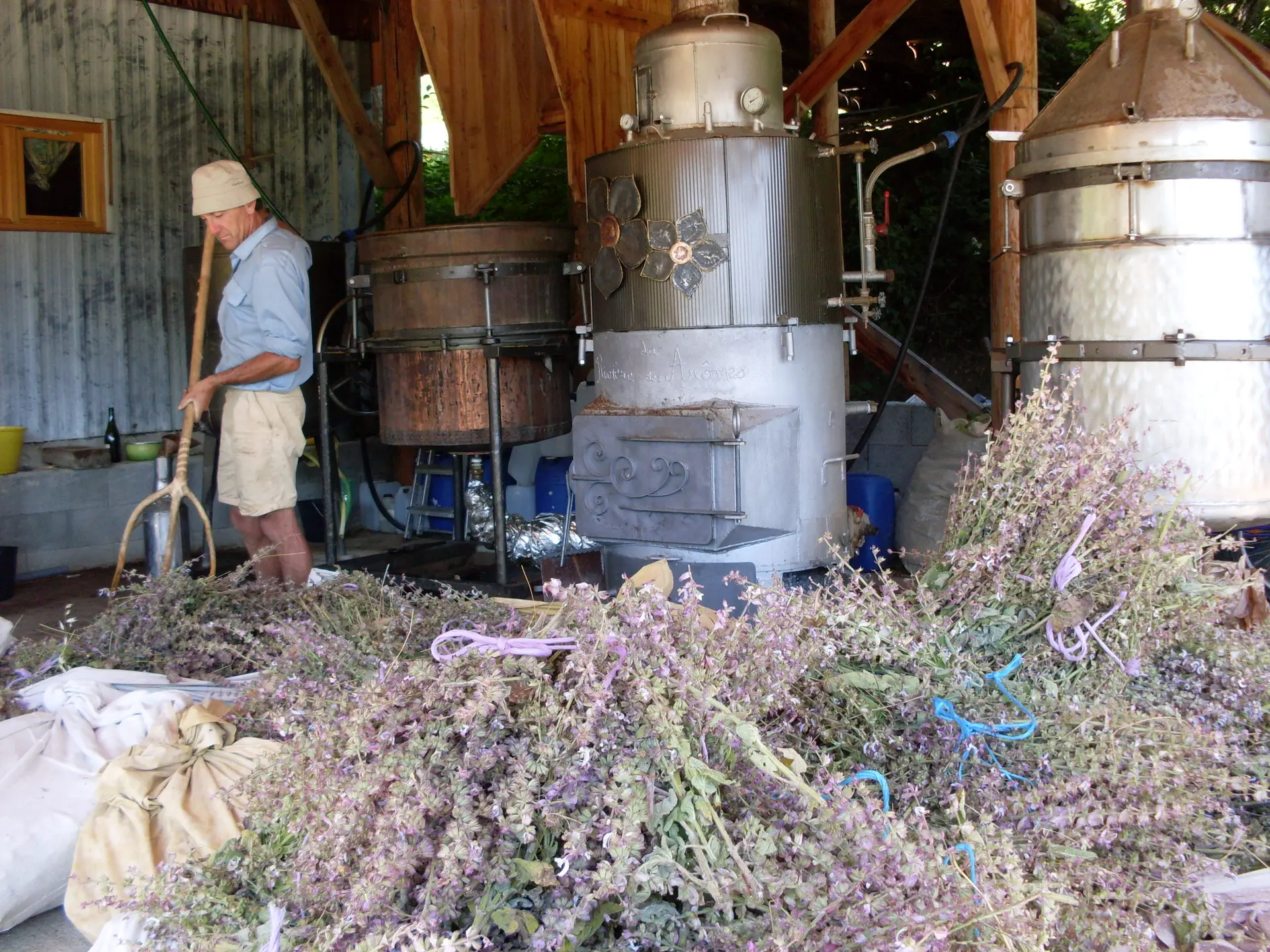 Démonstration de distillation de plantes aromatiques