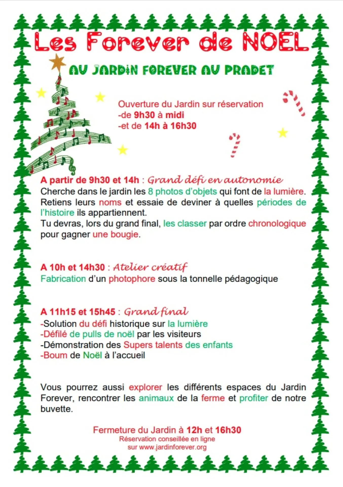 Noël au jardin Forever