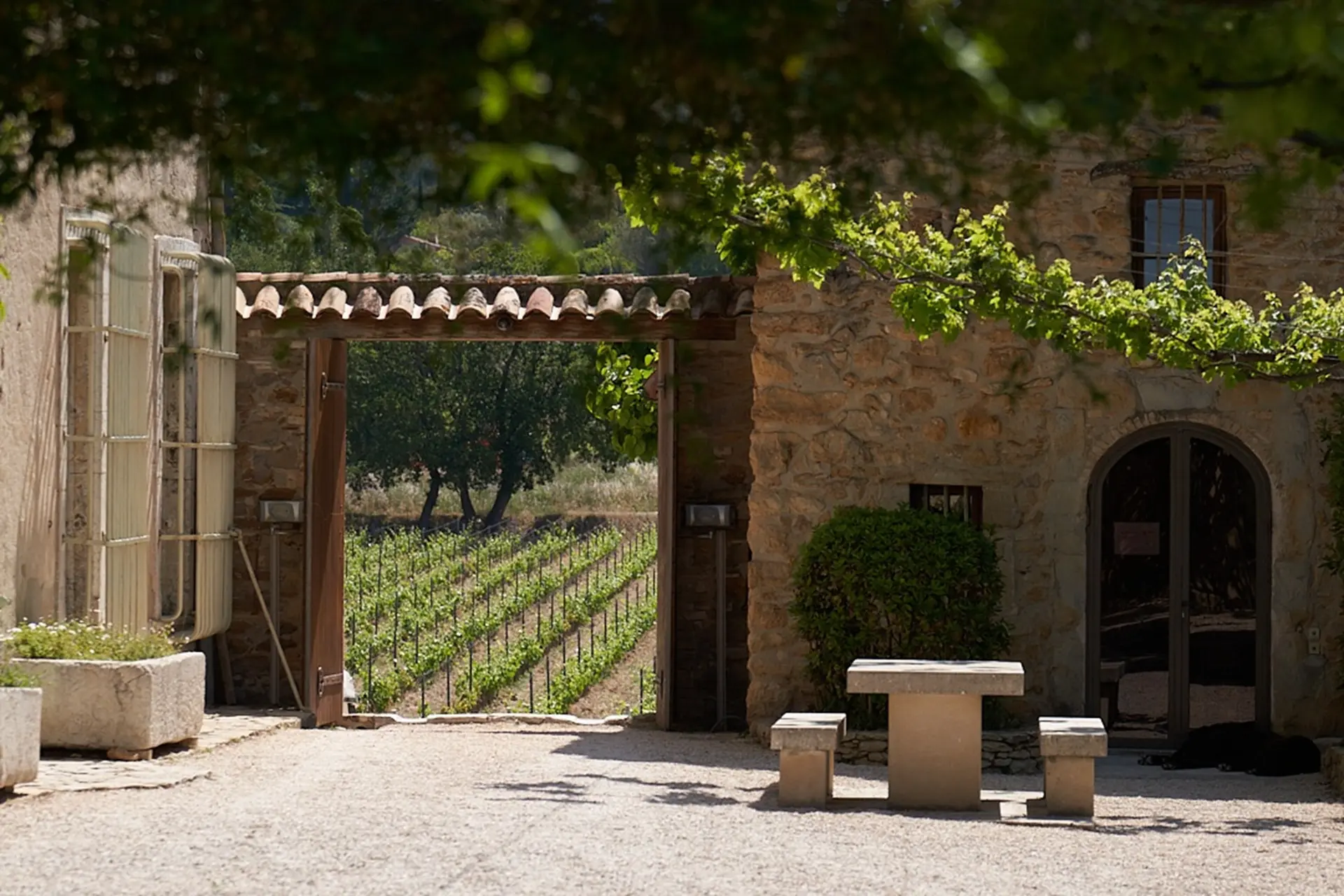 Domaine Ott