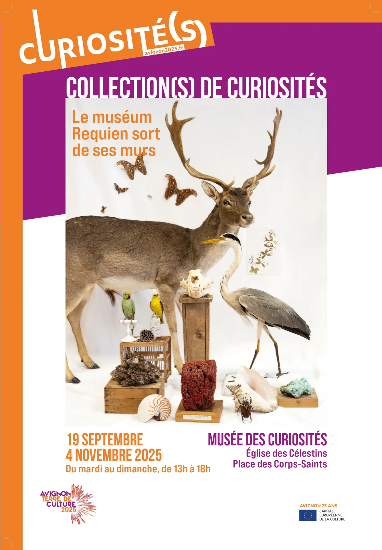 Exposition Le Muséum Requien sort des ses murs