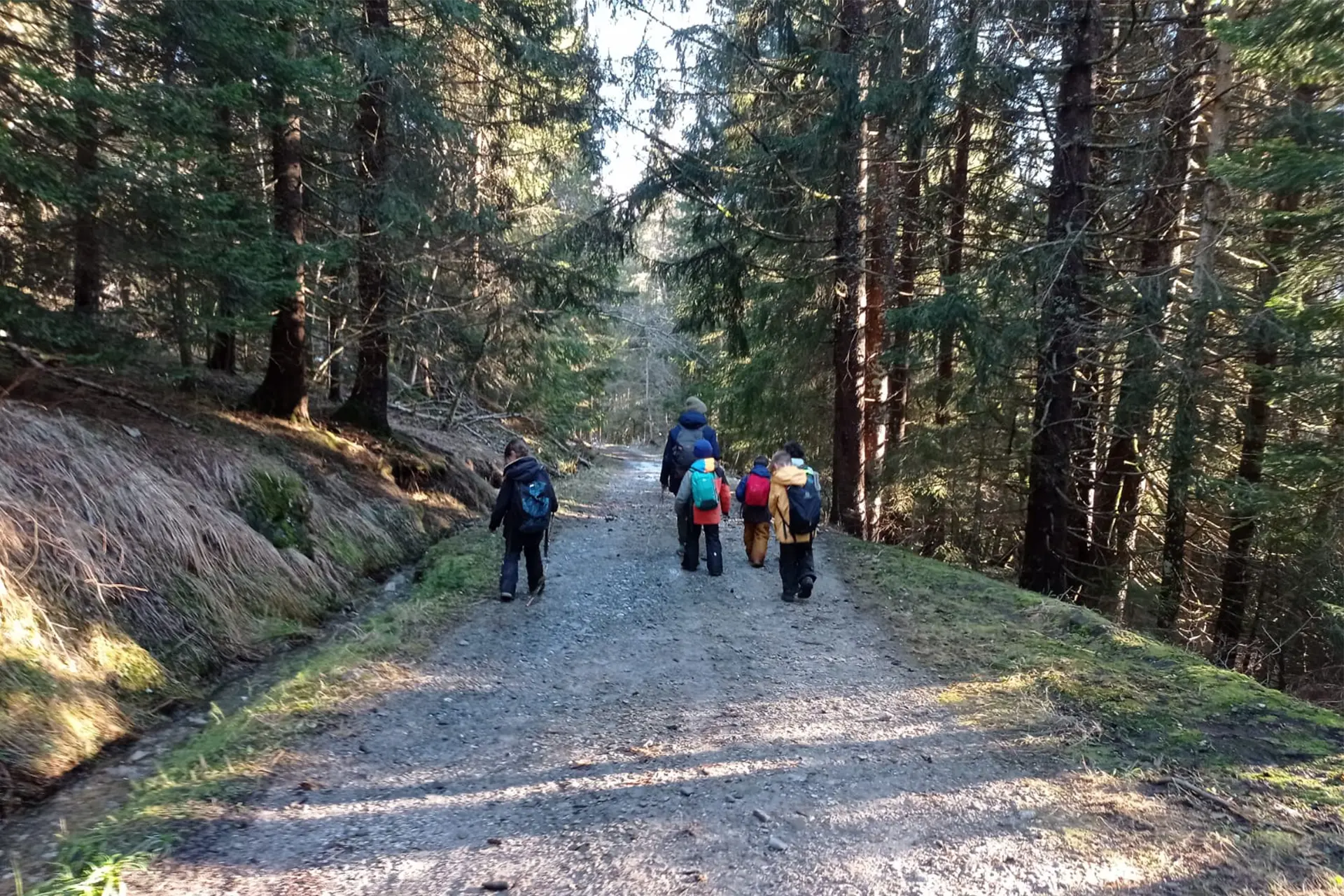 Balade forestière_Thônes