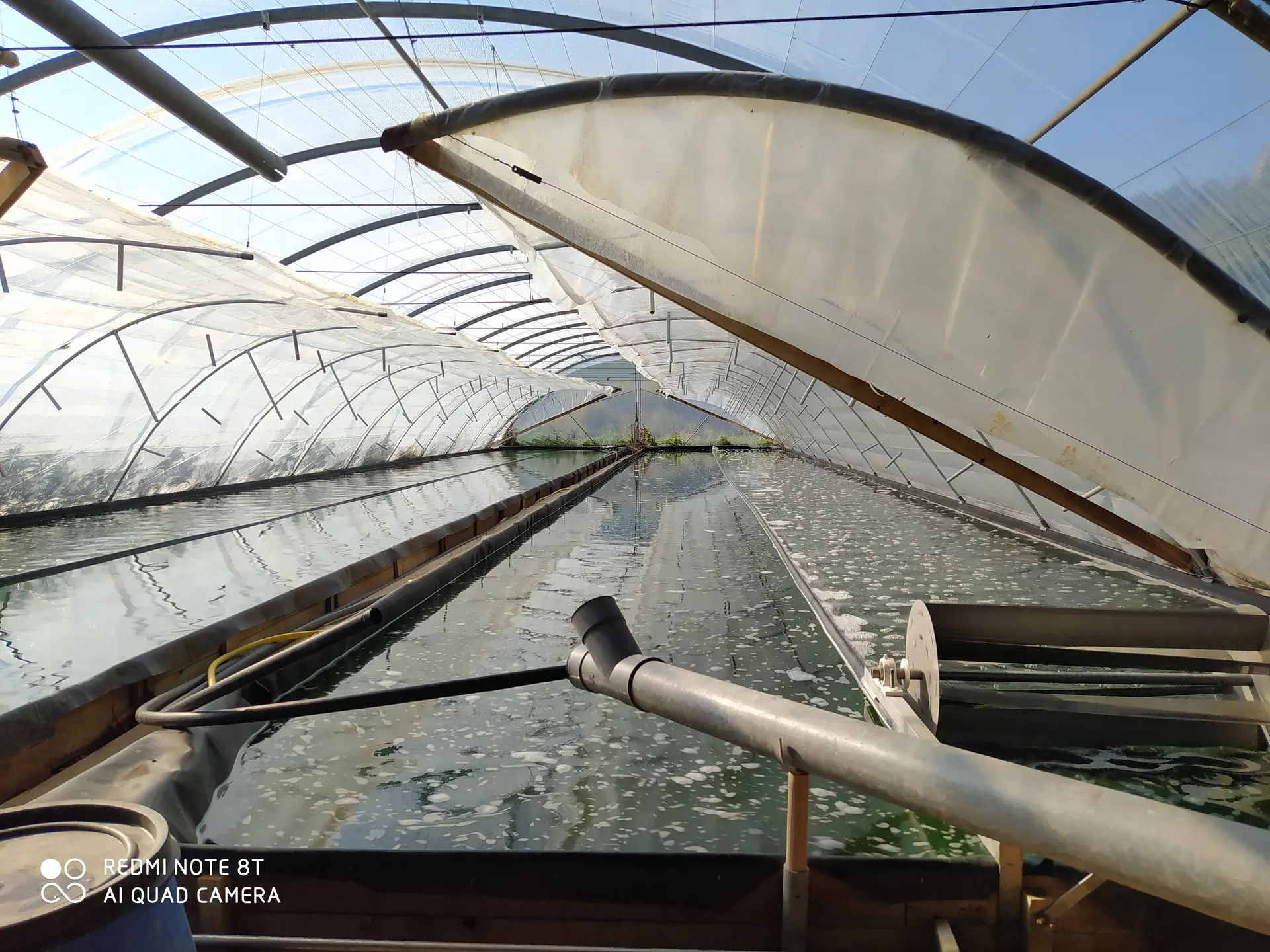 Visite de la ferme de production de Spiruline Solaire