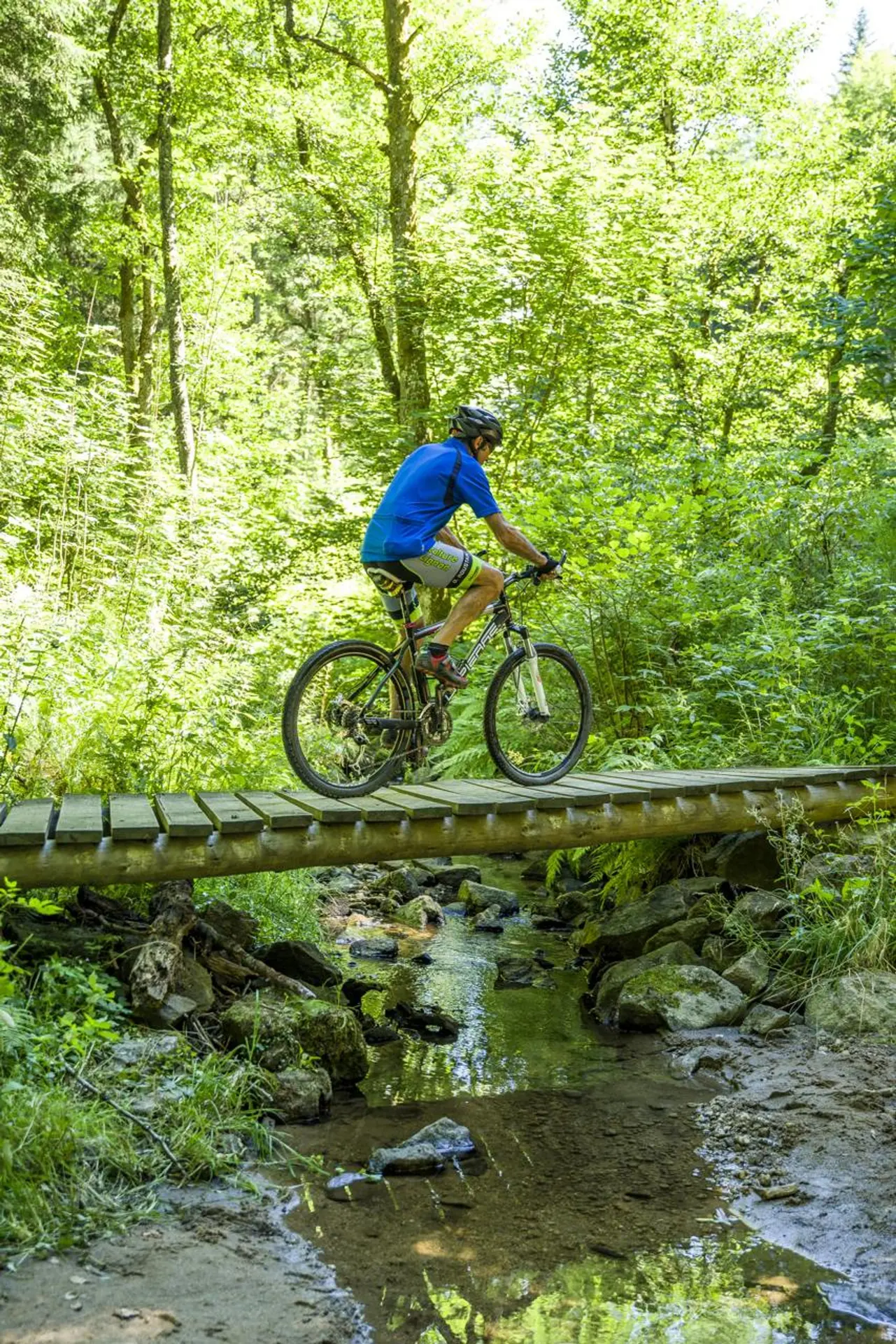 Passage suspendu : entre les arbres et au-dessus de l'eau