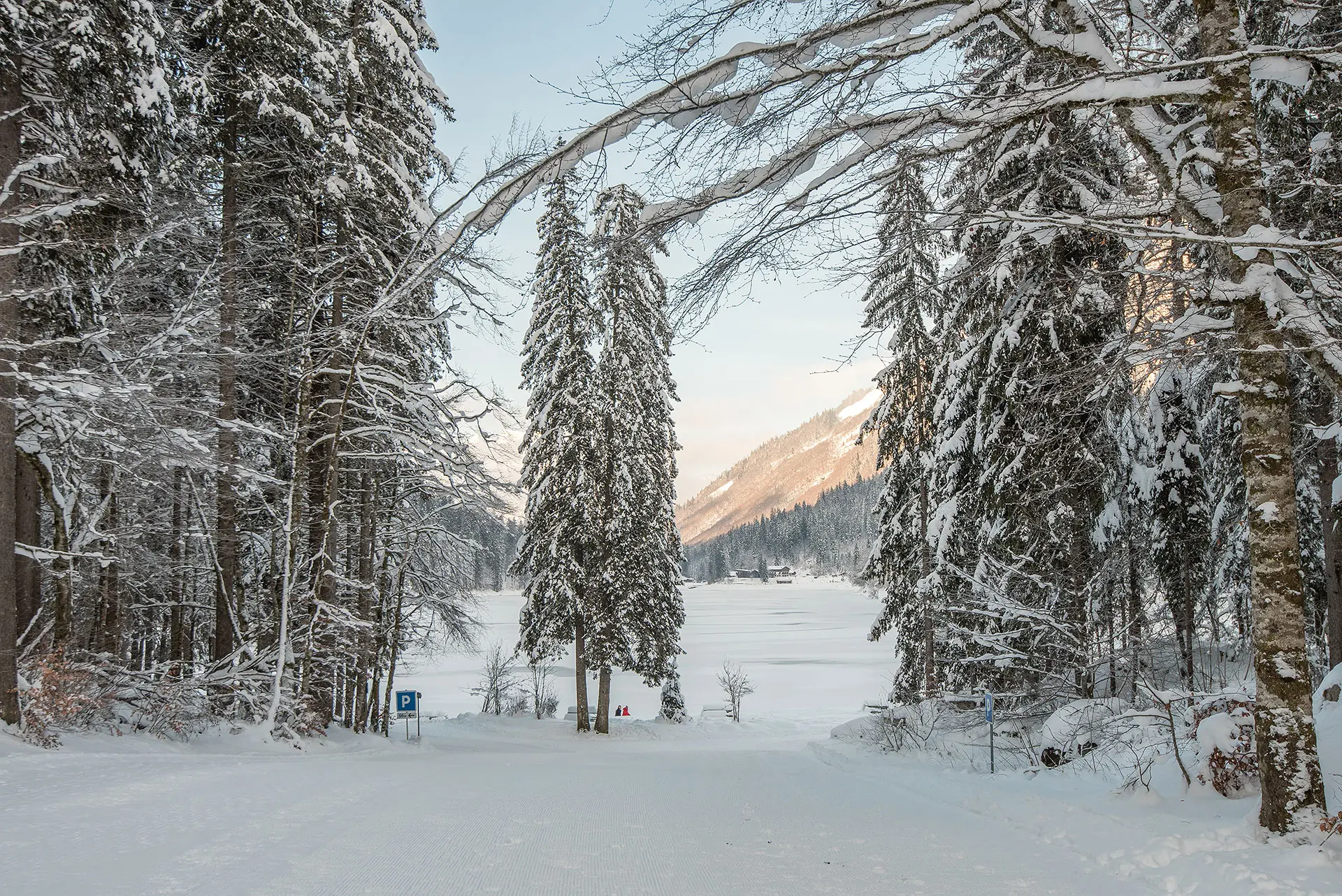 Départ de la piste, vue sur le Lac de Montriond