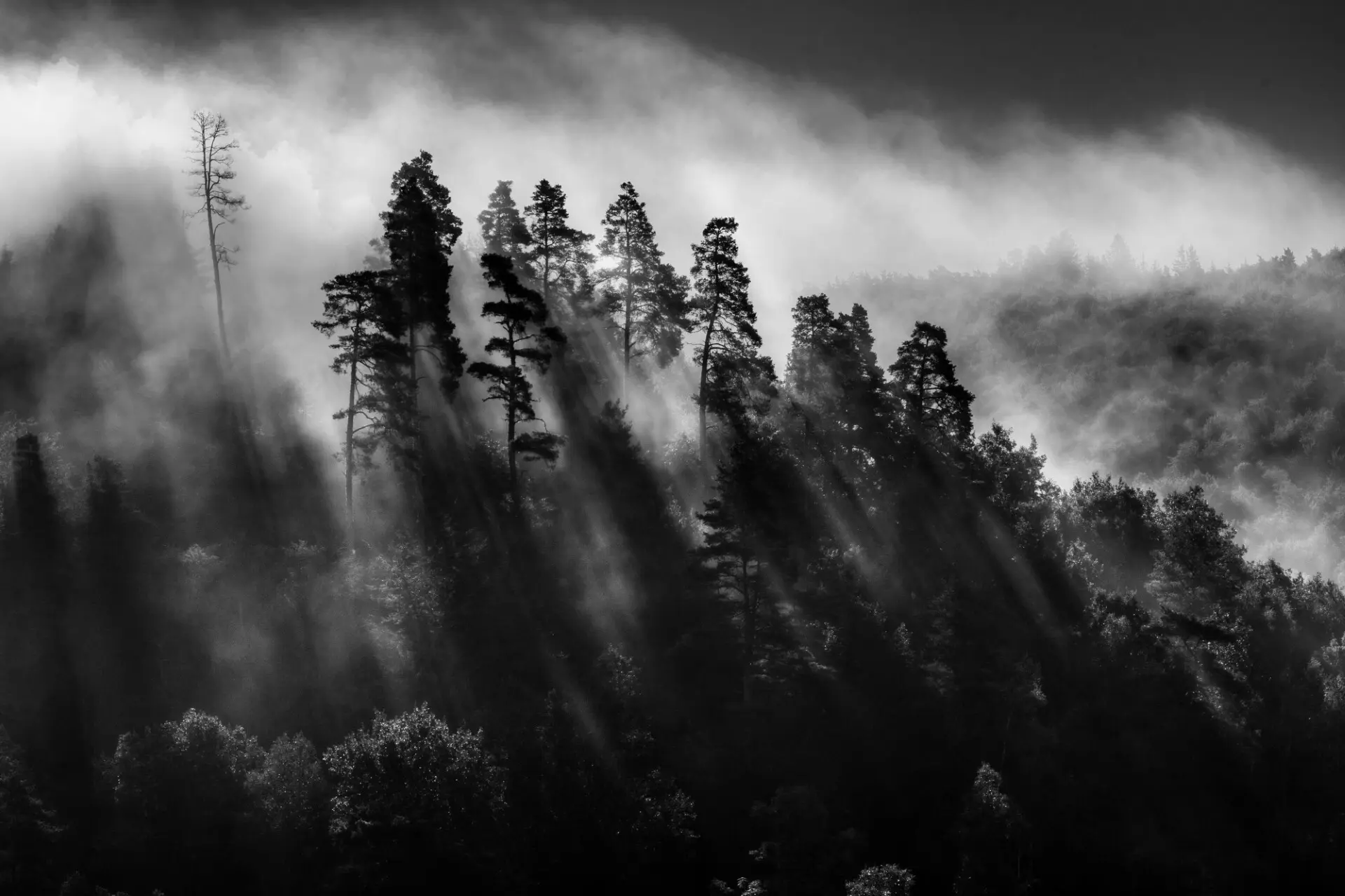 Ombres et lumières_Roanne