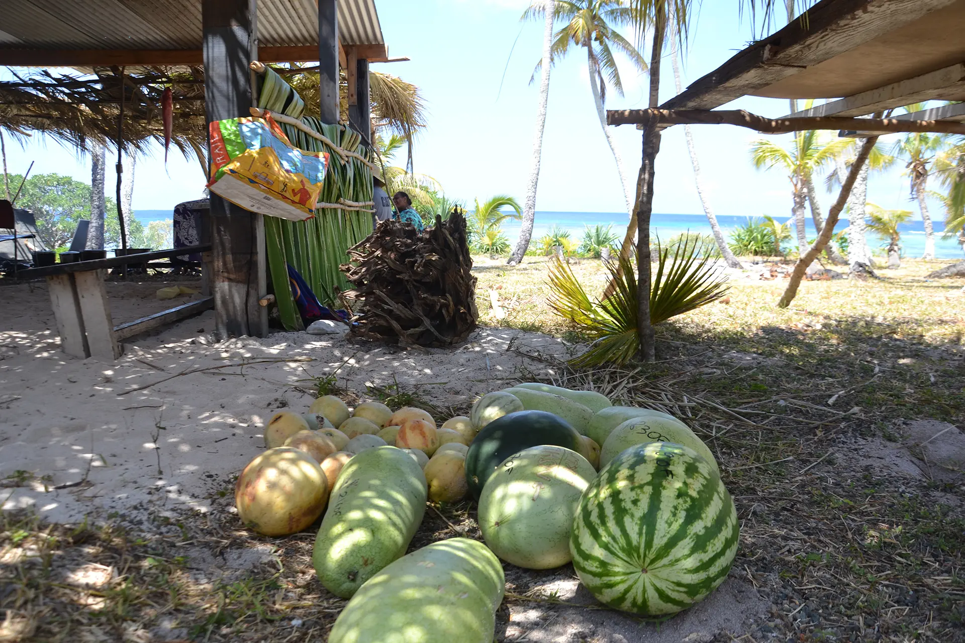 Watermelon