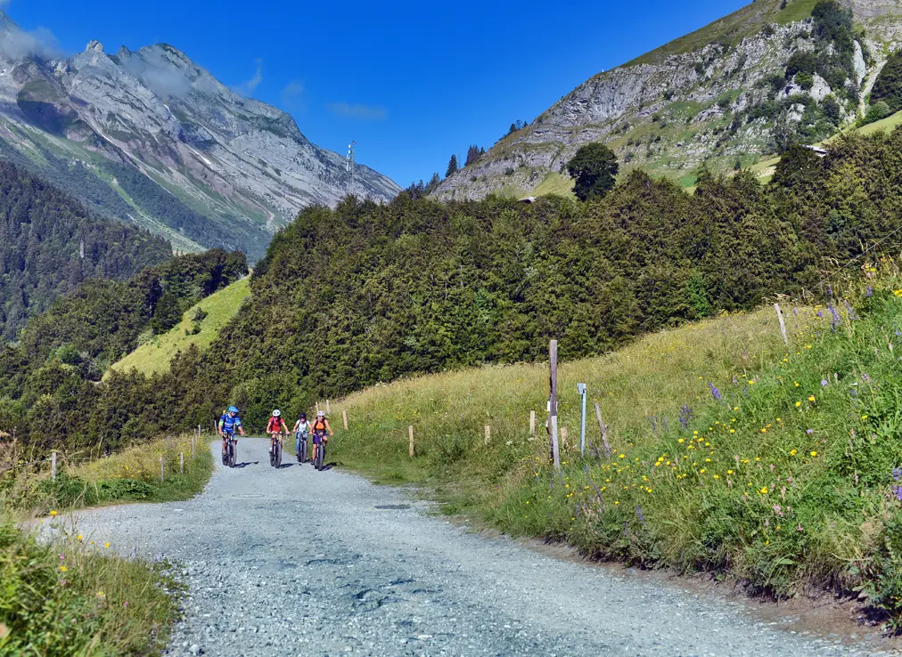 Route des Chalets