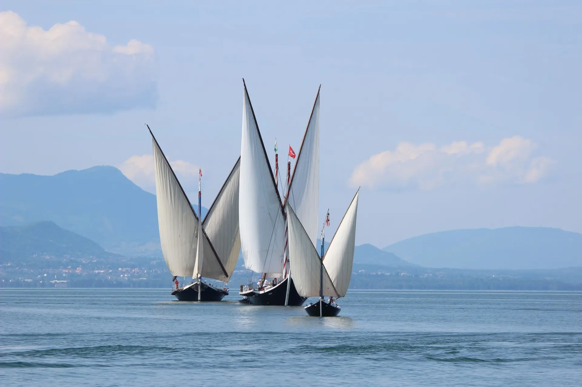 Voiles latines
