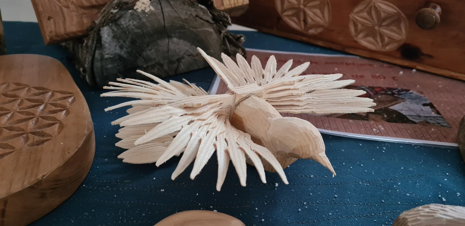 Colombe de la Boissellerie de la Fully