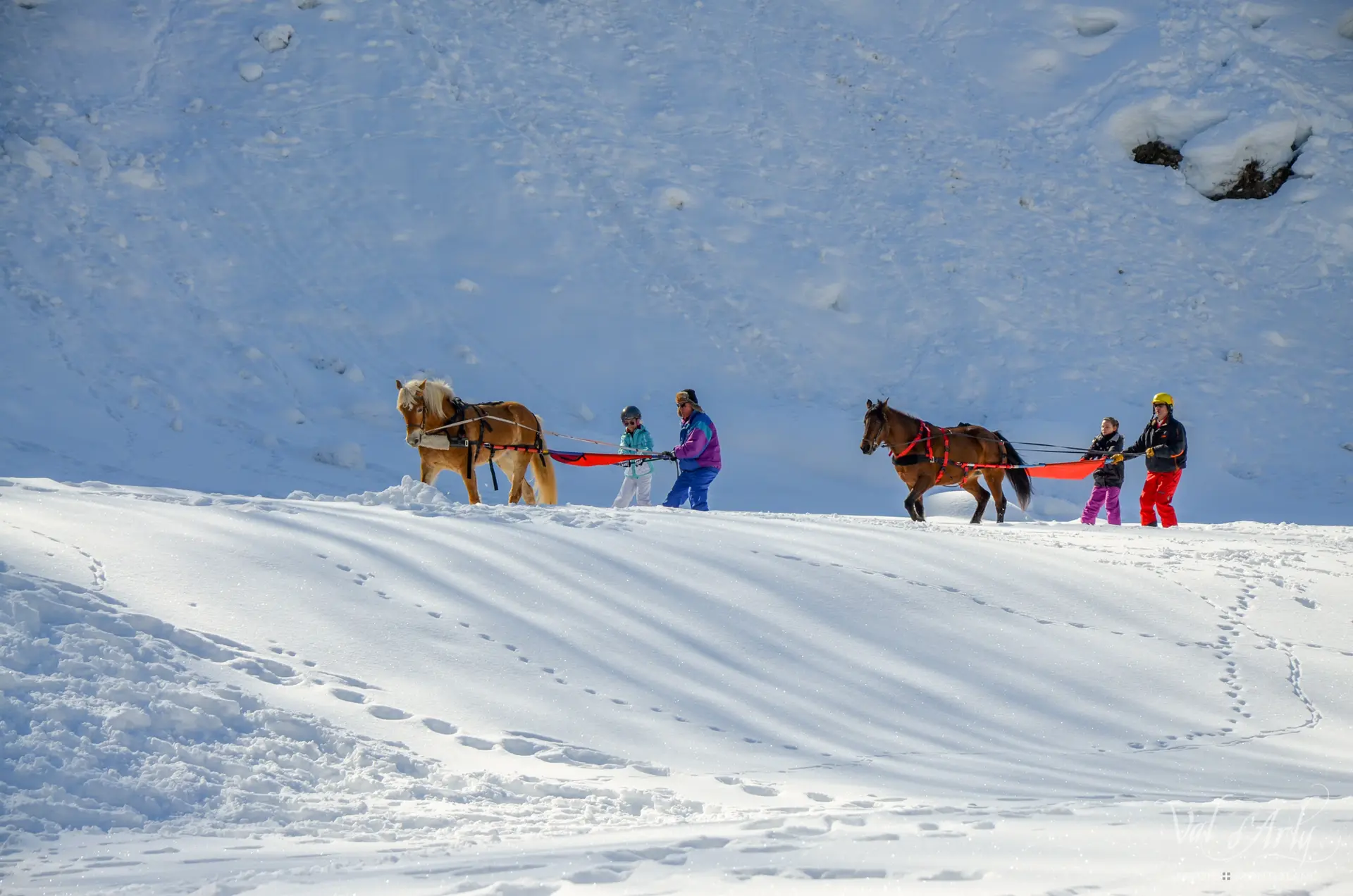 Ski Joering à Flumet