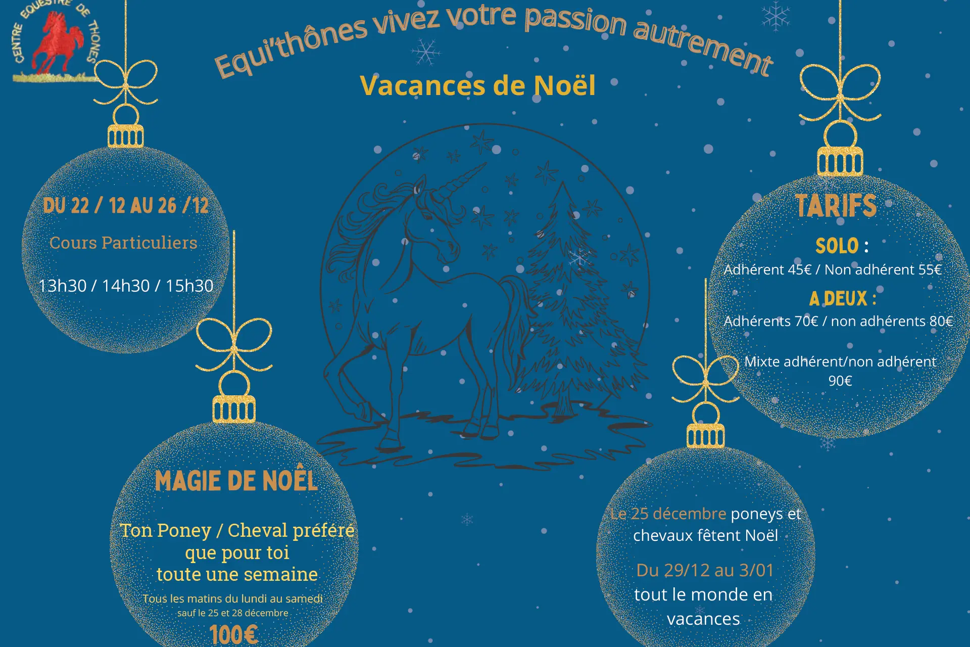 Vacances de Noël au centre équestre_Thônes