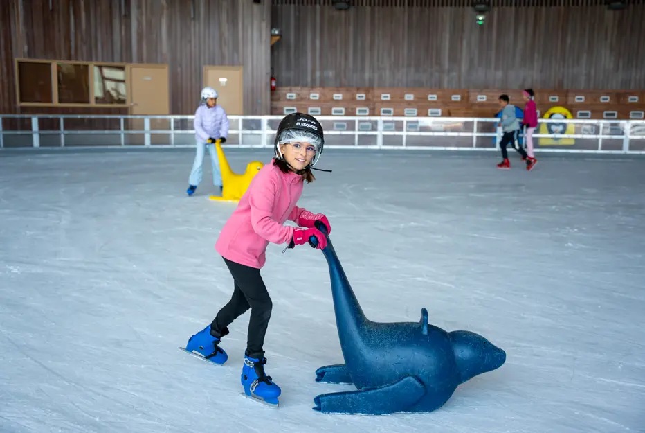 Jardin de glace à la patinoire_Les Orres