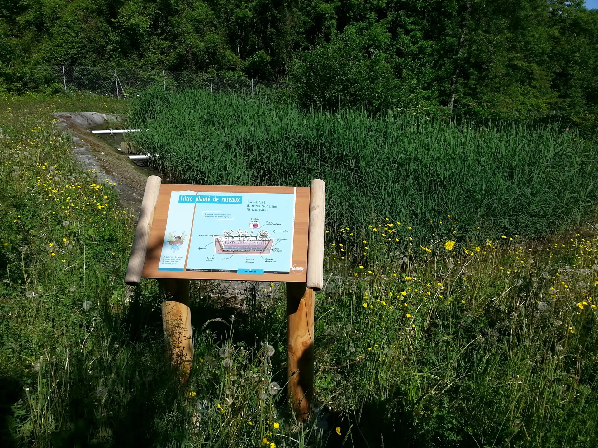 Station d'épuration à macrophytes