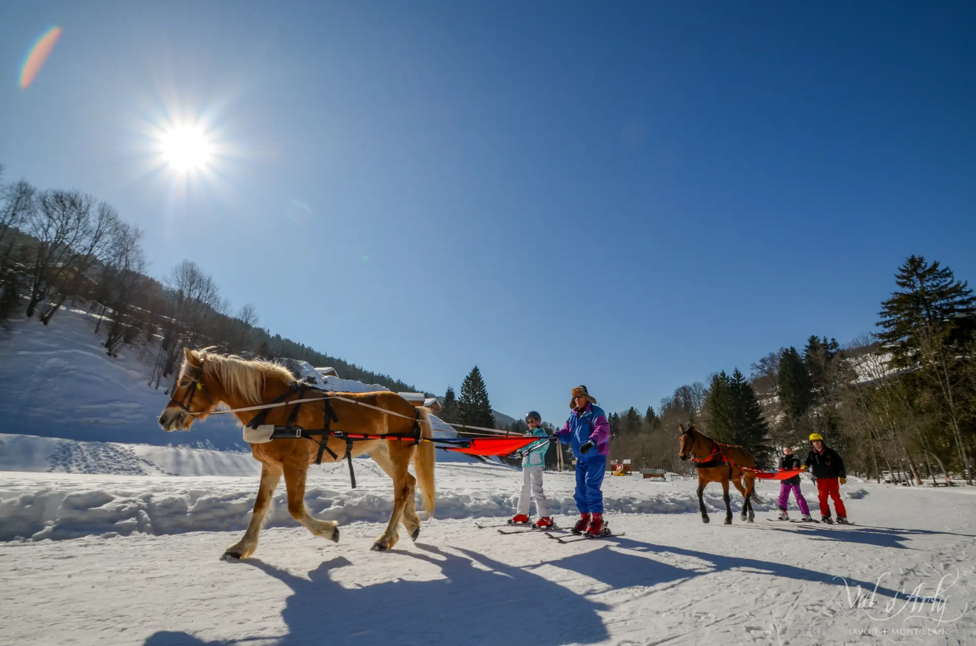Ski Joering à Flumet