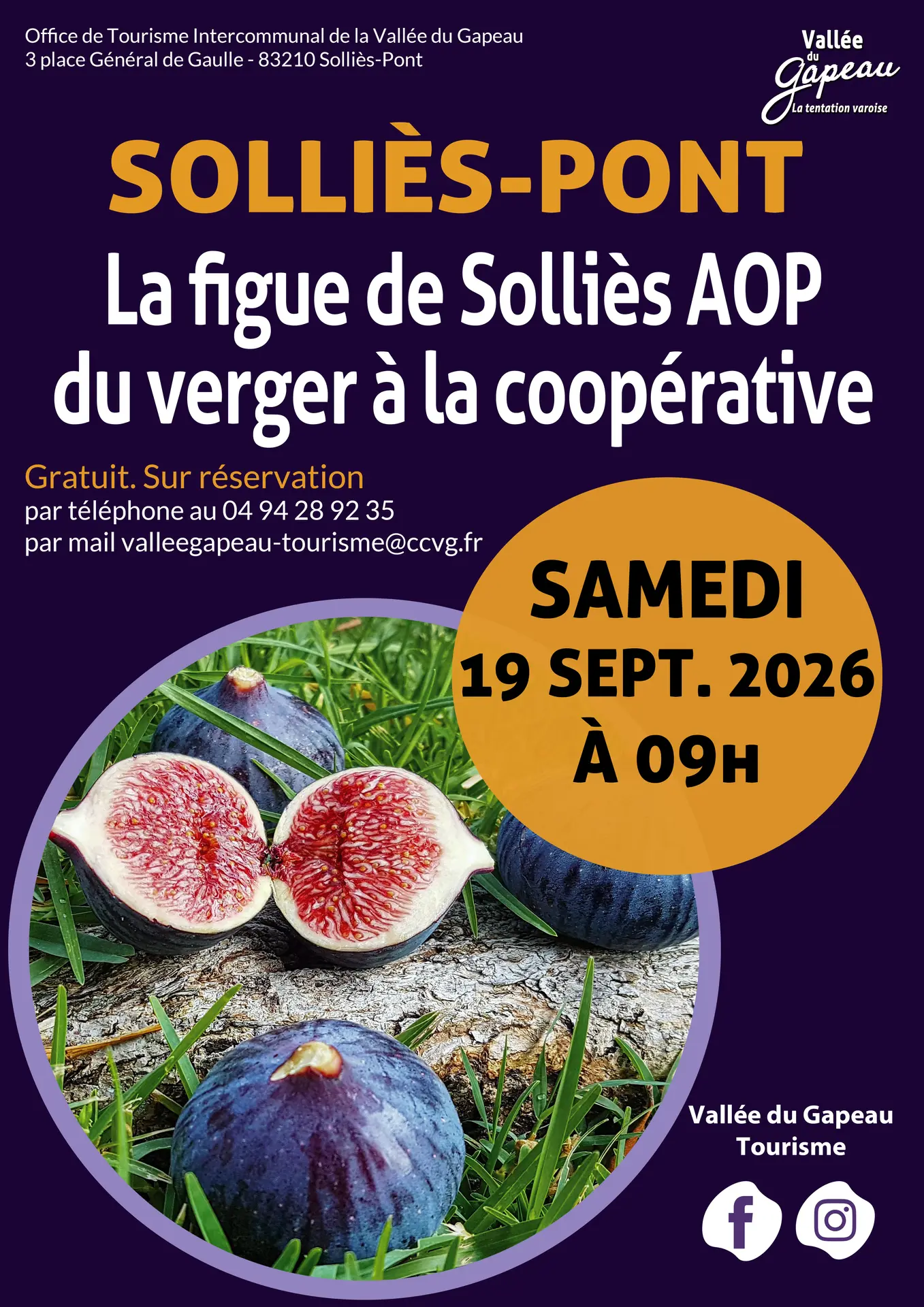 La Figue de Solliès