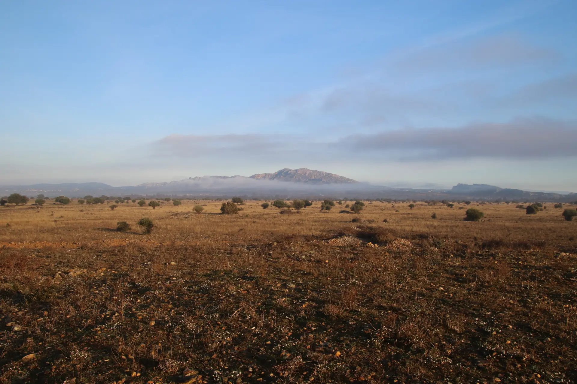 Paysage de Crau (13)