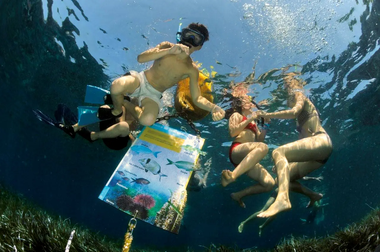 Palm water walk in the Jardin des Mattes