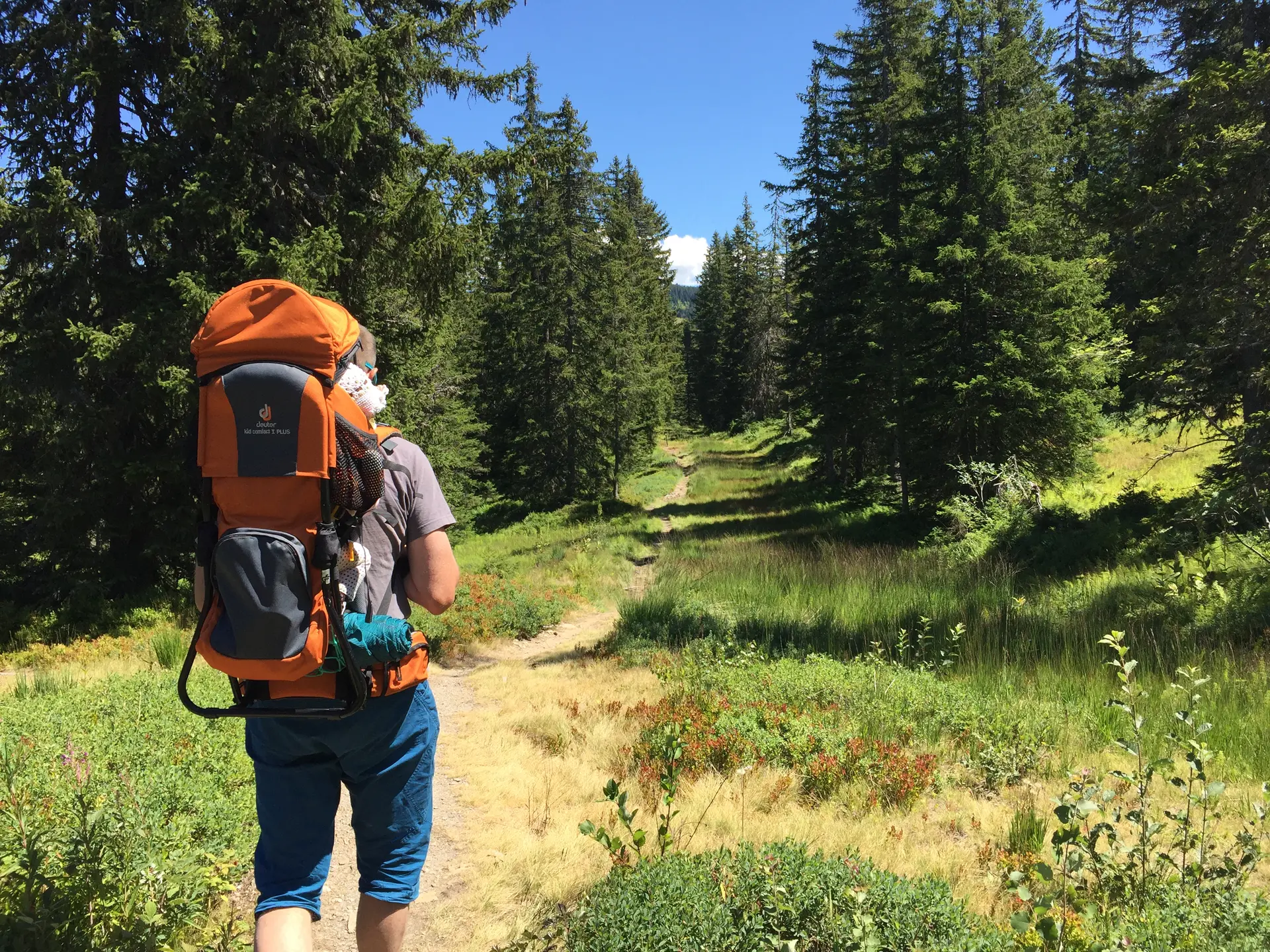 Sentier des Arpelières avec porte bébé