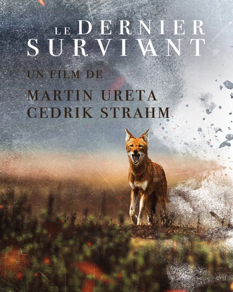 Affiche Le dernier survivant
