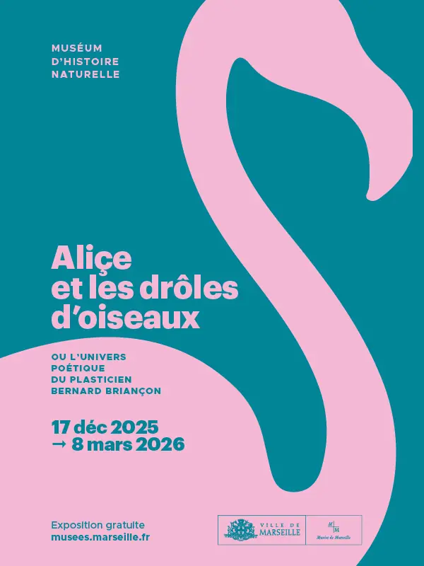 Ville de Marseille - Aliçe et les drôles d'oiseaux