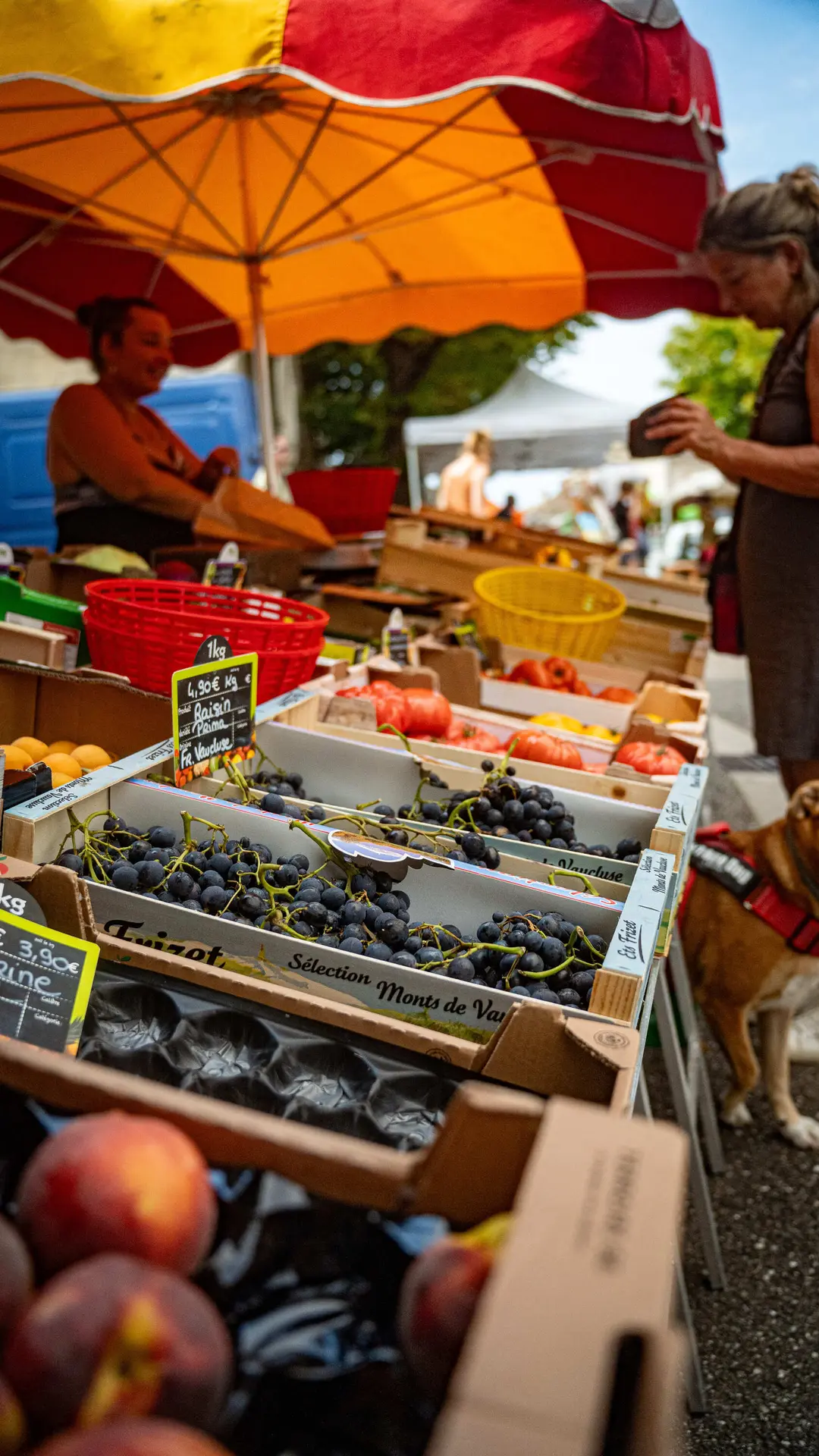 Marché de plein vent de Roquecor_Roquecor