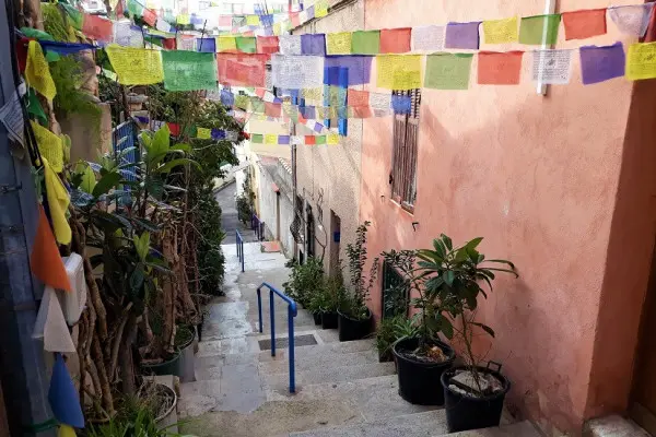 Hiking and treasure hunt – Urban coves & creeks