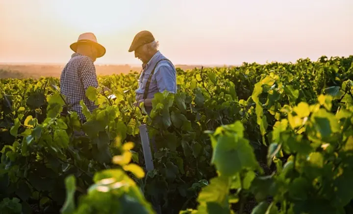 Réunion Transmission des exploitations agricoles_Saint-Martin-de-Ré